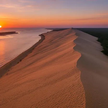 Apartment Family Cocoon In Center *