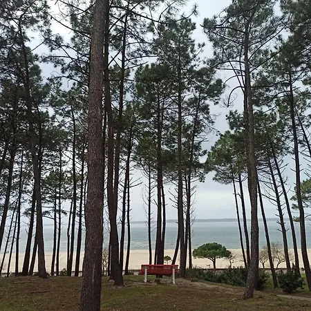 Apartamento Family Cocoon In Center *