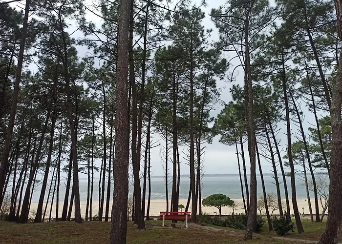 Apartment Family Cocoon In Center *